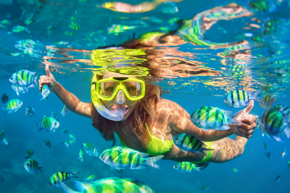 Tips for Snorkeling in Sarasota, Florida