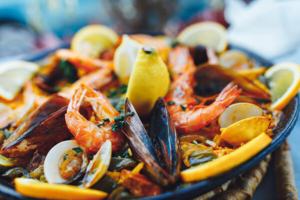Explire Suncoast - Best Seafood in Siesta Key