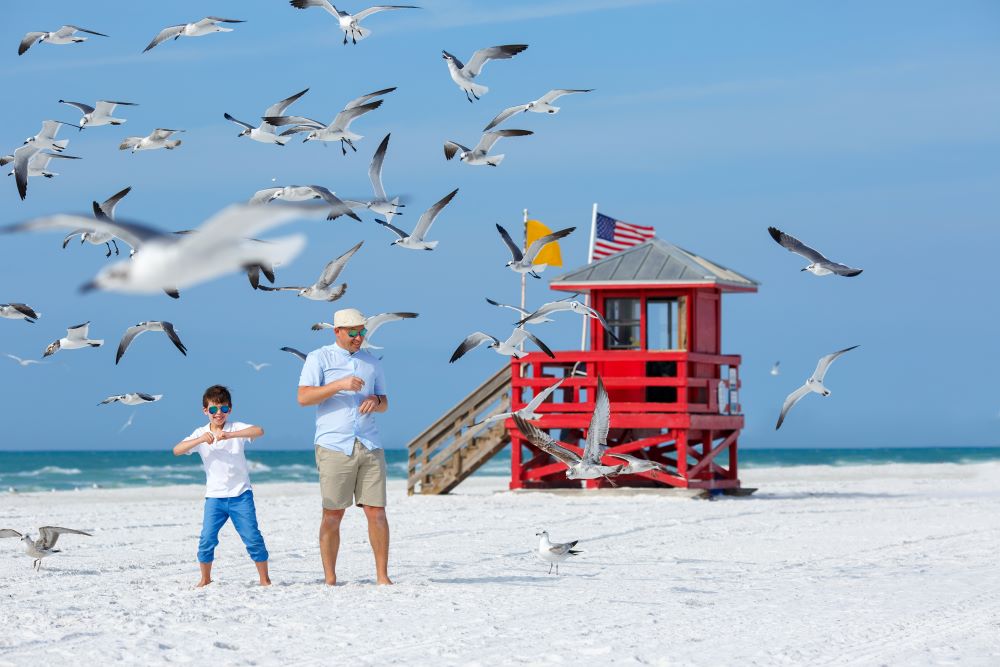 things to do with kids in venice florida